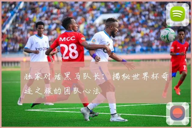 独家对话黑马队长：揭秘世界杯奇迹之旅的团队心法