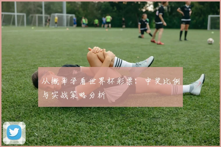 从概率学看世界杯彩票：中奖比例与实战策略分析