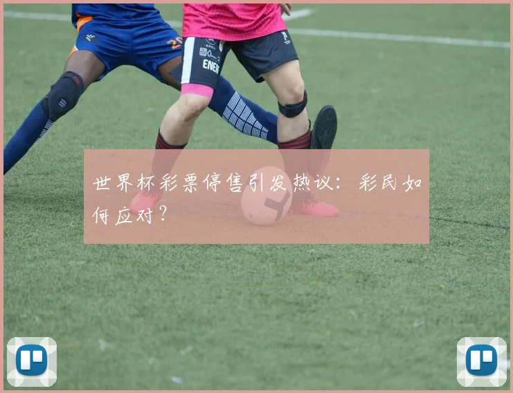 世界杯彩票停售引发热议：彩民如何应对？