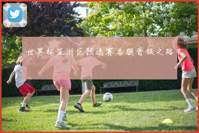 世界杯亚洲区预选赛名额晋级之路