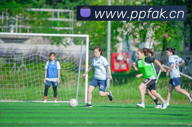 多媒体互动体验